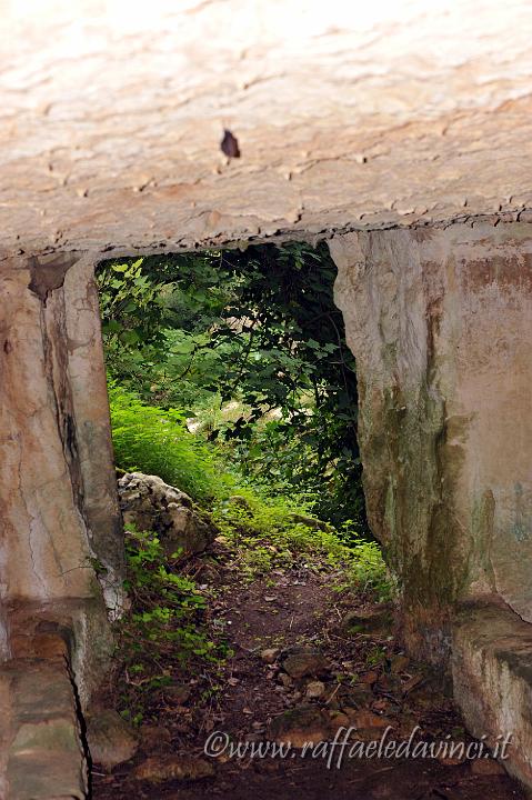 CENSIMENTO CAVA CAROSELLO 31.10.2010 (174).jpg